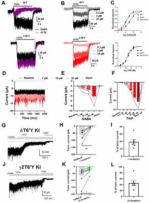 Pharmacological and Biophysical Characteristics of Picrotoxin-Resistant, δSubunit-Containing GABAA Receptors